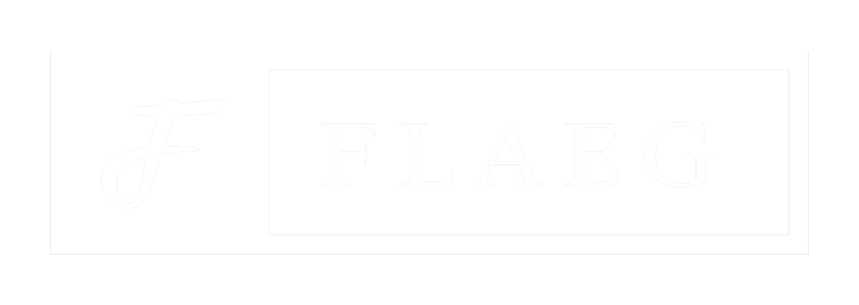 Flaeg Consultoria