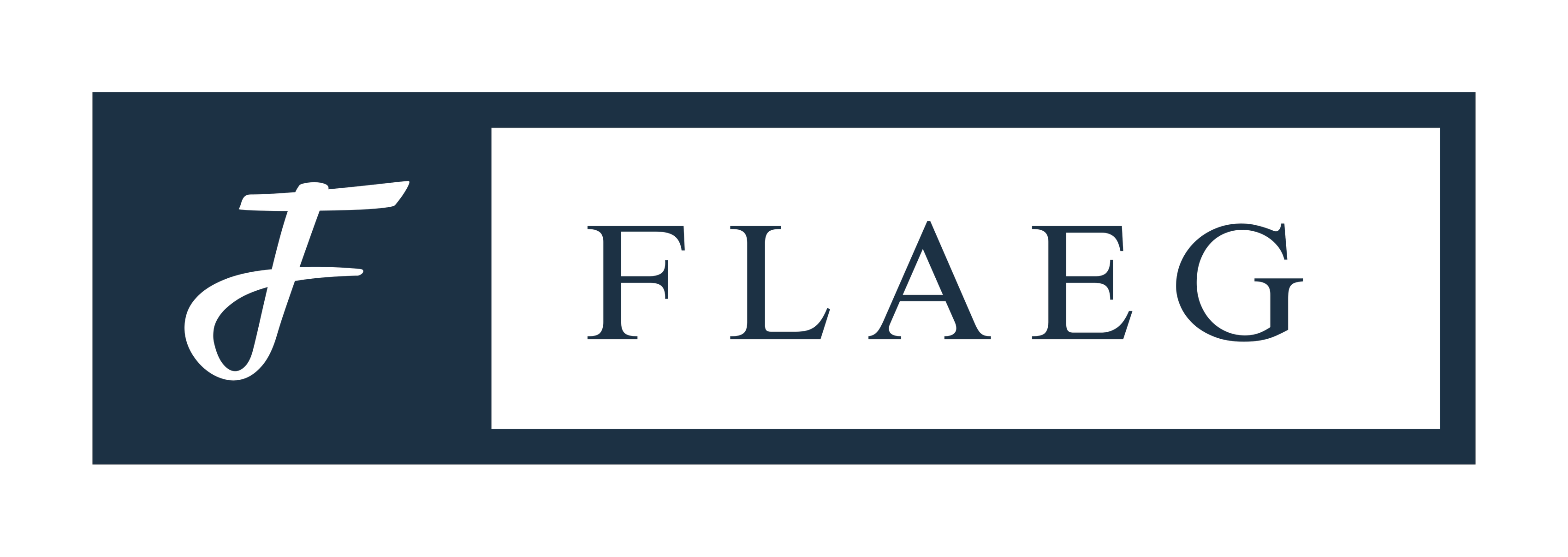 Flaeg Consultoria
